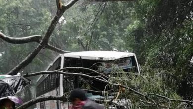 Photo of അട്ടപ്പാടി താവളത്ത് KSRTC ബസ്സിന് മുകളിൽ മരം വീണു. ആളപായമില്ല.