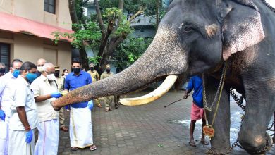 Photo of വളര്‍ത്തുമൃഗങ്ങള്‍ക്ക് ഖരാഹാരം പദ്ധതി, പാലക്കാട് മന്ത്രി കെ.കൃഷ്ണൻകുട്ടി ഉദ്ഘാടനം ചെയ്തു.