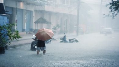 Photo of സംസ്ഥാനത്ത് ഇന്നും വ്യാപക മഴക്ക് സാധ്യത ; 11 ജില്ലകളില്‍ യെല്ലോ അലേര്‍ട്ട്
