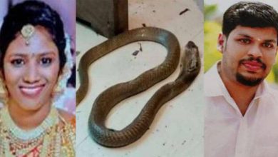 Photo of ഉത്ര കേസ്; വിചാരണ നടപടികൾ ഇന്ന് മുതൽ ആരംഭിക്കും