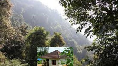 Photo of മാവോയിസ്റ്റ് ബന്ധം സംശയിക്കുന്നയാളെ വയനാട്ടിൽ പൊലീസ് കസ്റ്റഡിയിലെടുത്തു.