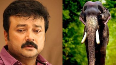 Photo of ആനപ്രേമികളെ ഒന്നടങ്കം സങ്കടത്തിലാഴ്ത്തികര്‍ണന്റെ വിയോഗം; സ്വന്തമാക്കാന്‍ ആഗ്രഹിച്ചിരുന്നുവെന്ന് ജയറാം