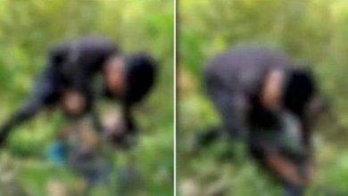 Photo of അമ്മയ്ക്ക് വിളിക്കുന്നോടാ, കളമശ്ശേരിക്ക് സമാനം; എന്താണ് നമ്മുടെ കുട്ടികളിങ്ങനെ