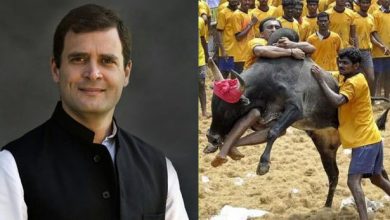 Photo of തമിഴരുടെ ജെല്ലിക്കെട്ട് കാണാന്‍ രാഹുല്‍ ഗാന്ധിയും