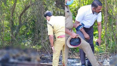 Photo of ഡിനോയിയെ പിടിച്ചാല്‍ താനും കുടുങ്ങുമെന്ന് ഭയം, ജോബിയെ കൊന്നത് റെയില്‍വേ ട്രാക്കില്‍ കത്തിച്ച് കൊണ്ട്