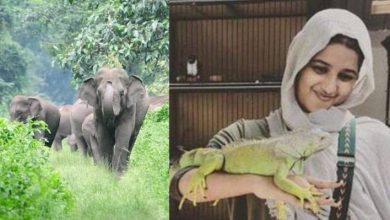 Photo of വയനാട്ടില്‍ കാട്ടാന ആക്രമണത്തില്‍ യുവതി മരിച്ച സംഭവം: റിസോര്‍ട്ട് അടച്ചുപൂട്ടാന്‍ നിര്‍ദേശം
