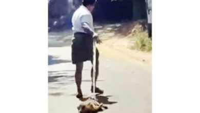 Photo of മിണ്ടാപ്രാണികളോടുള്ള ക്രൂരതകൾ അവസാനിക്കുന്നില്ല; തെരുവുനായയെ തല്ലിച്ചതച്ചശേഷം കയറുകെട്ടി റോഡിലൂടെ കെട്ടിവലിച്ചത് 20 മീറ്ററോളം