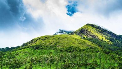 Photo of സമരത്തിന് പങ്കെടുക്കാതെ രാഷ്ട്രീയ പാര്‍ട്ടികള്‍ക്ക് രക്ഷയില്ല, വയനാട് വീണ്ടും സമരമുഖമാകുന്നു