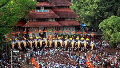 Photo of ആനകളുടെ എണ്ണം കുറയ്ക്കില്ല; തൃശൂർ പൂരം സാധാരണ നിലയിൽ നടത്താൻ അനുമതി