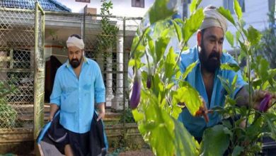 Photo of കൊറോണക്കാലത്തെ കൃഷി ജീവിതം, വീട്ടിലെ കൃഷിത്തോട്ടം പരിചയപ്പെടുത്തി മോഹന്‍ലാല്‍
