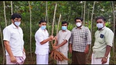 Photo of തന്റെ കൃഷിയിടത്തിൽ നിന്നും സൗജന്യമായി കപ്പ കോവിഡ്‌ കൺട്രോൾ റൂമിലേക്ക്‌ നൽകി; മാതൃകയായി ഈ ബ്ലോക്ക് പഞ്ചായത്ത് പ്രസിഡന്റ്