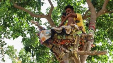 Photo of കോവിഡ് സ്ഥിരീകരിച്ചു :വിദ്യാര്‍ത്ഥി ക്വാറന്റൈനിലിരുന്നത്‌ മരത്തിന് മുകളില്‍