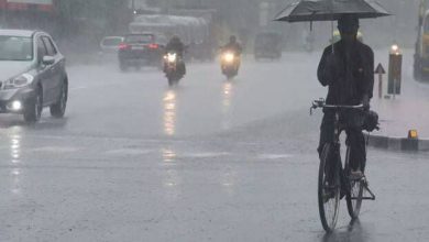 Photo of സംസ്ഥാനത്ത് ഇന്നും ശക്തമായ മഴയ്ക്ക് സാധ്യത: ഏഴ് ജില്ലകളിൽ യെല്ലോ അലേർട്ട്