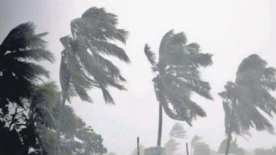 Photo of ശക്തമായ കാറ്റിനു സാധ്യത; മത്സ്യത്തൊഴിലാളികള്‍ കടലില്‍ പോകരുതെന്ന് നിര്‍ദ്ദേശം