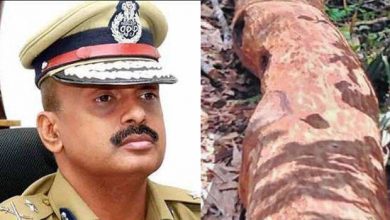 Photo of മുട്ടില്‍ മരംമുറി; ഉന്നതതല അന്വേഷണസംഘത്തെ എഡിജിപി എസ് ശ്രീജിത്ത് നയിക്കും