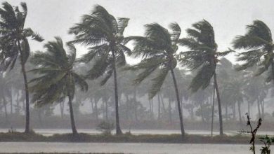 Photo of സംസ്ഥാനത്ത് ഏഴ് ജില്ലകളില്‍ ഇന്ന് യെല്ലോ അലര്‍ട്ട്‌