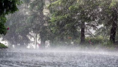Photo of അതിശക്തമായ മഴയ്ക്ക് സാധ്യത; ഏഴ് ജില്ലകളില്‍ യെല്ലോ അലര്‍ട്ട്