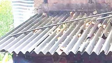Photo of വീടുകള്‍ക്ക് മേല്‍ കല്ലു മഴ ,  കുടുംബങ്ങളെ മാറ്റിപാര്‍പ്പിച്ചു ; ഭൗമശാസ്ത്ര സംഘം ഇടുക്കിയില്‍