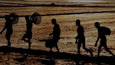 Photo of കണ്ടം വഴി ഓടിക്കോ; കരുവന്നൂര്‍ ബാങ്കിനെ പരിഹസിച്ച് സോഷ്യല്‍ മീഡിയയും