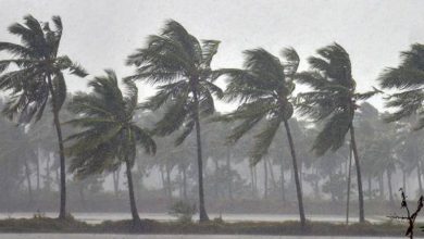 Photo of അതിശക്തമായ മഴയ്ക്ക് സാധ്യത: കണ്ണൂര്‍ ജില്ലയില്‍ 17 വരെ മഞ്ഞ അലര്‍ട്ട്, മലയോരമേഖലകളിലുള്ളവരെ ഉടനെ ക്യാമ്ബുകളിലേക്ക് മാറ്റും