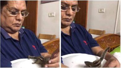 Photo of മലയാളത്തിന്റെ ഹാസ്യ രാജാവിന് പുതിയ സുഹൃത്തിനെ കിട്ടി