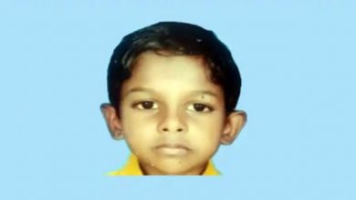 Photo of പാലക്കാട് ഒന്നാംക്ലാസ് വിദ്യാര്‍ത്ഥി കടന്നല്‍ കുത്തേറ്റ് മരിച്ചു