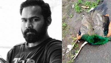 Photo of മയില്‍ ദേഹത്ത് ഇടിച്ചു; ബൈക്ക് നിയന്ത്രണംവിട്ടു മറിഞ്ഞ് നവവരന്‍ മരിച്ചു; ഭാര്യ പരുക്കുകളോടെ രക്ഷപ്പെട്ടു