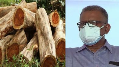 Photo of മുട്ടില്‍ മരംമുറി കേസ് അട്ടിമറിക്കാന്‍ ഗൂഢാലോചന; എന്‍.ടി. സാജനെതിരേ ഗുരുതര കണ്ടെത്തലുകള്‍