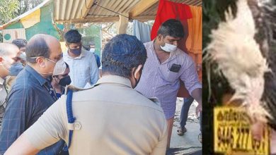 Photo of കോഴികളെ കൊന്ന് വൈദ്യുതി പോസ്റ്റില്‍ കെട്ടിത്തൂക്കി