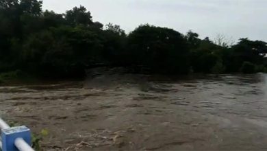 Photo of മുന്നറിയിപ്പില്ലാതെ തമിഴ്നാട് ആളിയാര്‍ ഡാം തുറന്നു; പാലക്കാട്ടെ പുഴകളില്‍ കുത്തൊഴുക്ക്