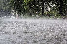 Photo of മഴ കനക്കുന്നു: പമ്പാസ്‌നാനത്തിന് വിലക്ക്