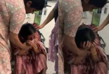 Photo of വിപഞ്ചികയുടെ മരണം: മാതാവ് ഷാർജയിൽ എത്തി