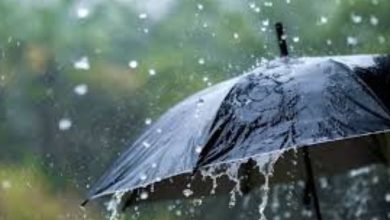 Photo of സംസ്ഥാനത്ത് വരും ദിവസങ്ങളിൽ ശക്തമായ മഴയ്ക്ക് സാധ്യത; അഞ്ച് ജില്ലകളിൽ ഓറഞ്ച് അലേർട്ട്