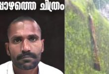 Photo of ഗോവിന്ദച്ചാമി കണ്ണൂരിൽ പിടിയിൽ? സ്ഥിരീകരിക്കാതെ പൊലീസ്
