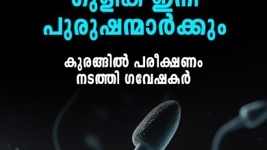Photo of ലോകത്തിൽ ഇതാദ്യമായി പുരുഷന്മാർക്ക് ഉപയോഗിക്കാവുന്ന ഗര്‍ഭനിരോധന ഗുളികകൾ
