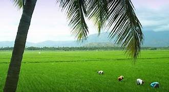 Photo of പുതു പ്രതീക്ഷകളുമായി പൊൻ പുലരി വന്നെത്തി;ഇന്ന് ചിങ്ങം 1