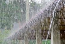 Photo of സംസ്ഥാനത്ത് നാളെ മുതല്‍ തീവ്രമഴയ്ക്ക് സാധ്യത; നാളെ നാല് ജില്ലകളിൽ ഓറഞ്ച് അലേർട്ട്