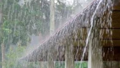 Photo of സംസ്ഥാനത്ത് നാളെ മുതല്‍ തീവ്രമഴയ്ക്ക് സാധ്യത; നാളെ നാല് ജില്ലകളിൽ ഓറഞ്ച് അലേർട്ട്