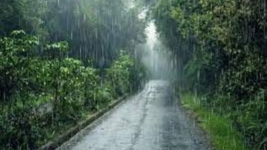 Photo of സംസ്ഥാനത്ത് അതിശക്തമായ മഴയ്ക്ക് സാധ്യത; ആറ് ജില്ലകളിൽ ഓറഞ്ച് അലേർട്ട്