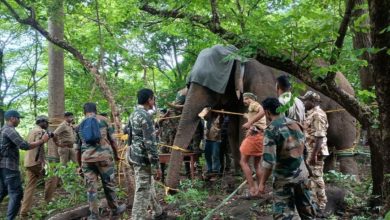 Photo of പി ടി ഫൈവ് കാട്ടാനയെ ചികിത്സ നല്‍കി വനത്തിനുള്ളിലേക്ക് തിരിച്ചയച്ചു; 20 ദിവസം നിരീക്ഷിക്കും