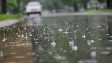 Photo of ന്യൂനമര്‍ദത്തിന്റെ സ്വാധീനം; കേരളത്തില്‍ മഴയ്ക്ക് സാധ്യത, രണ്ട് ജില്ലകളില്‍ യെല്ലോ അലേര്‍ട്ട്
