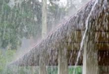 Photo of സംസ്ഥാനത്ത് വരും ദിവസങ്ങളിൽ ശക്തമായ മഴയ്ക്ക് സാധ്യത; ഇന്ന് എല്ലാ ജില്ലകളിലും മഴ മുന്നറിയിപ്പ്