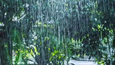 Photo of സംസ്ഥാനത്ത് ഒറ്റപ്പെട്ട ശക്തമായ മഴയ്ക്ക് സാധ്യത; മൂന്ന് ജില്ലകളിൽ ഓറഞ്ച് അലേർട്ട്