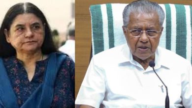 Photo of കാട്ടുപന്നികളെ ഉന്മൂലനം ചെയ്യാനുള്ള സർക്കാരിന്റെ തീരുമാനത്തിനെതിരെ മുഖ്യമന്ത്രിയ്ക്ക് കത്ത് അയച്ച മനേക ​ഗാന്ധി