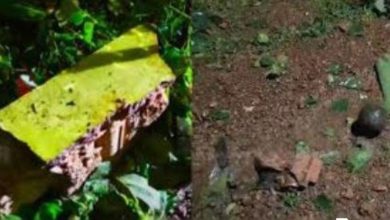 Photo of പാലക്കാട് മൂത്താൻതറ സ്കൂൾ പരിസരത്തെ സ്ഫോടനം; പ്രതിഷേധവുമായി മുസ്ലിം യൂത്ത് ലീഗും വെൽഫെയർ പാർട്ടിയും