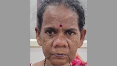 Photo of ഭർത്താവിനെ കൊലപ്പെടുത്തിയ കേസിൽ ജാമ്യത്തിലിറങ്ങി ഒളിവിൽ പോയിരുന്ന ഭാര്യയെ പമ്പ പൊലീസ് പിടികൂടി