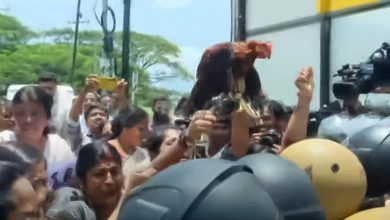 Photo of രാഹുല്‍ മാങ്കൂട്ടത്തിനെതിരെ പ്രതിഷേധം കടുപ്പിച്ച് ബിജെപി; പൂവന്‍കോഴിയുമായി മഹിളാ മോര്‍ച്ച മാര്‍ച്ച് നടത്തി