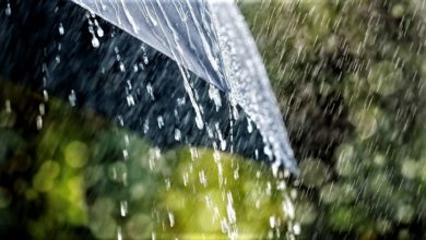 Photo of കേരളത്തിൽ ശക്തമായി മഴയ്ക്ക് സാധ്യത ; ശ്രദ്ധിക്കേണ്ട കാര്യങ്ങൾ