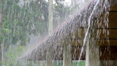 Photo of സംസ്ഥാനത്ത് ഒറ്റപ്പെട്ട ശക്തമായ മഴയ്ക്ക് സാധ്യത