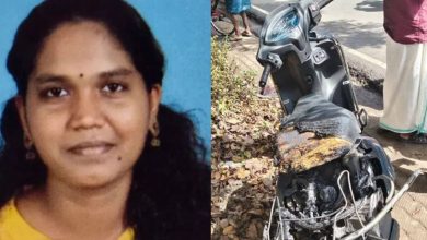 Photo of കൊല്ലം– തേനി ദേശീയപാതയിൽ സ്കൂട്ടർ ബസിൽ ഇടിച്ച് യുവതിക്ക് ദാരുണാന്ത്യം
